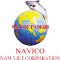 ANV icon