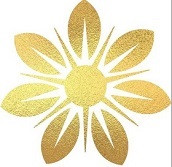 CEN icon