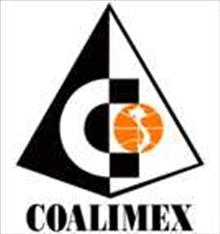 CLM icon