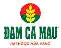 DCM icon