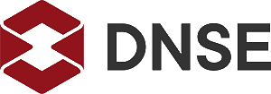DSE icon