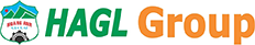 HAG icon
