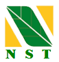 NST icon