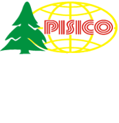 PIS icon