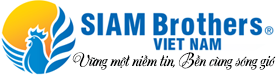 SBV icon