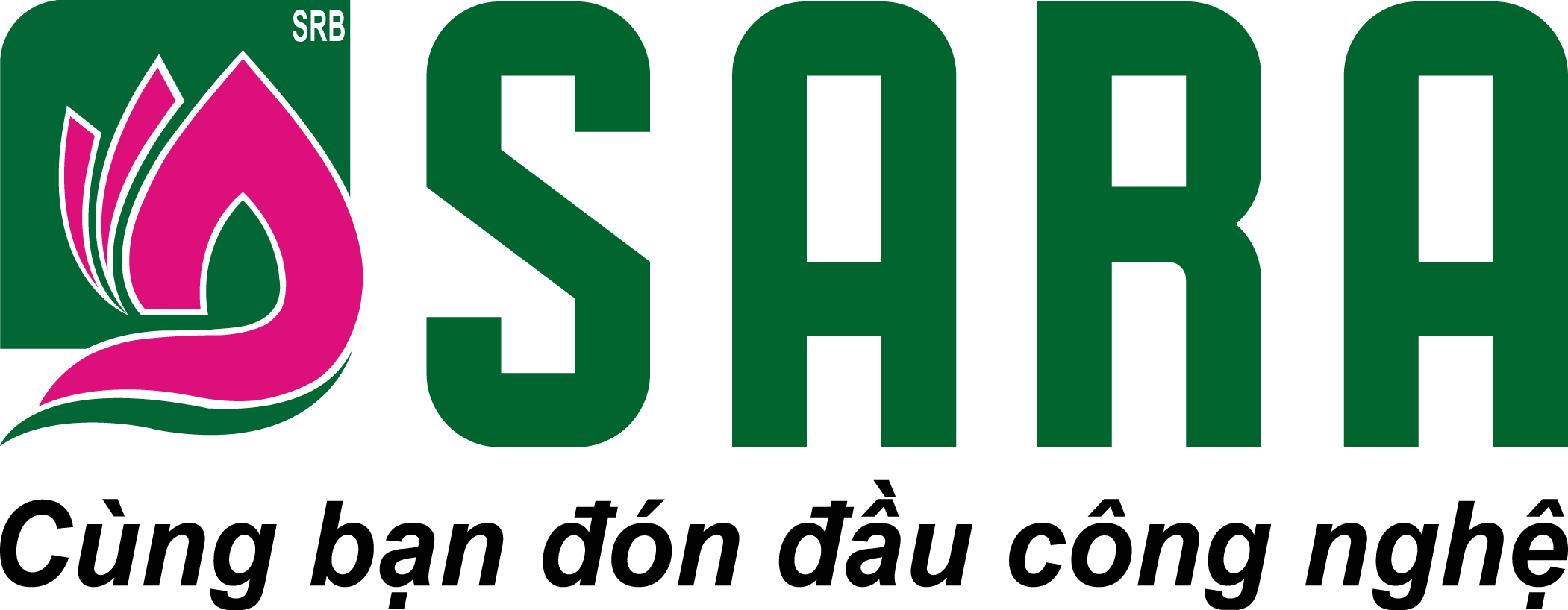 SRB icon