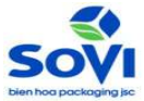 SVI icon