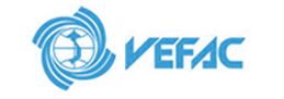 VEF icon