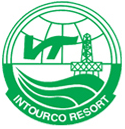 VIR icon