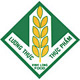 VLF icon