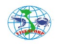 VNH icon