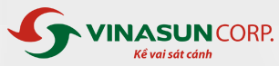 VNS icon